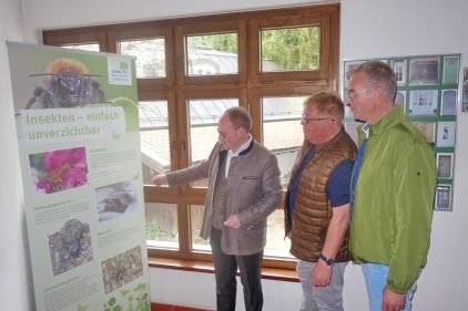 1Insektenausstellung 1