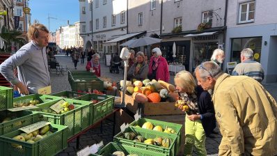 66cc6a33-a077-4ad4-a549-8f28b9c87030