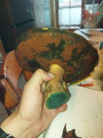 7181d80f-ffdf-4a8f-b029-78eae15266a4