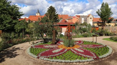 Fertiges Beet Rosengut