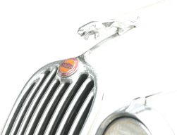 PHOTO-2022-09-09-22-00-52