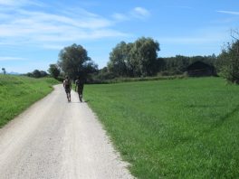 Radfahren am Chiemsee-Uferweg
