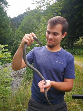 eb2a792c-4a10-450c-ab01-9d939e0be1d7