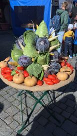 f5a8822f-5af7-4446-88ca-adfb3492b0ad