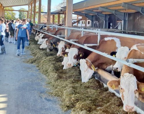 1Hofrundgang Mayer quer jpg