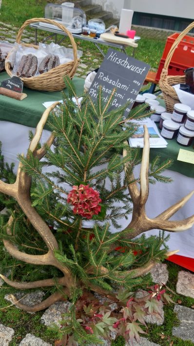 20221009_105320_resized