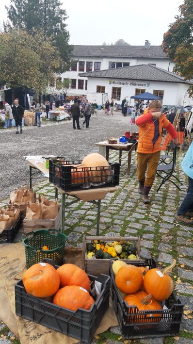 20221009_105453_resized