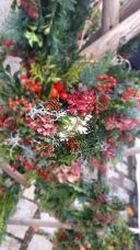 20221009_105734_resized