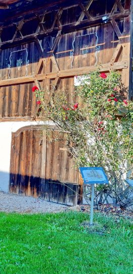 20221027_135205_resized