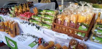 20221030_083604_resized