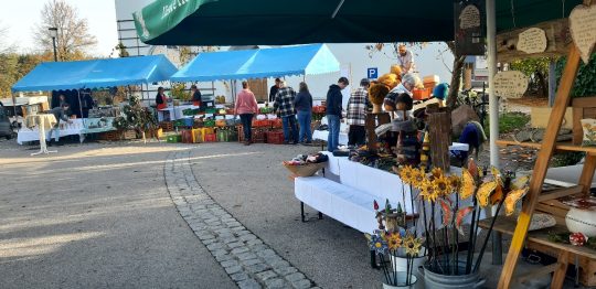 20221030_085038_resized