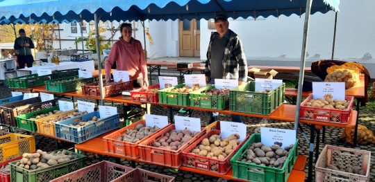 20221030_085258_resized