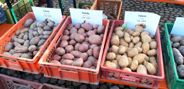 20221030_085344_resized