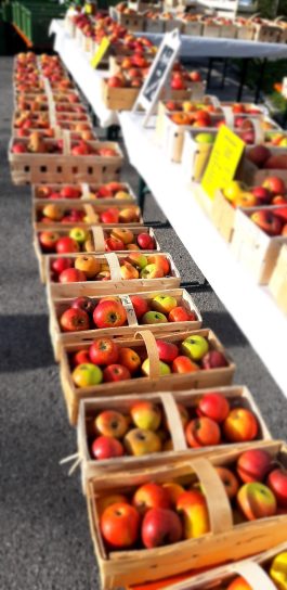 20221030_090434_resized