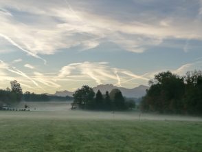 45636910-c892-49fc-93e1-cf6bc8c046b4