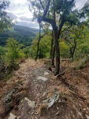 600fc30a-5899-47bd-9179-49f4201621f9