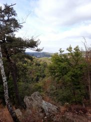 6e3c692e-3585-4ec7-bdb2-618f421e9b2f