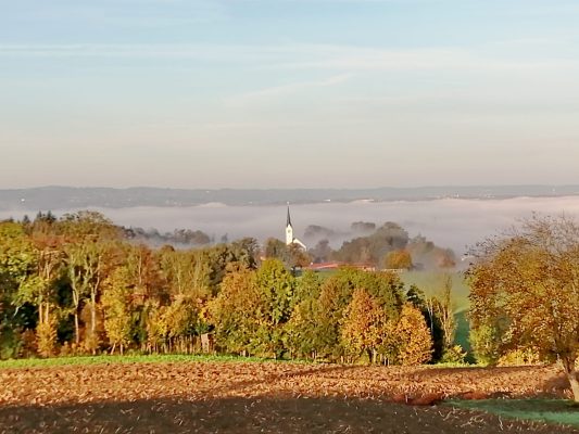 8bb462ac-85c2-44ef-8caa-694cd6869735