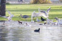 AktNatBeo-221007-ah-2-'Futtertraenke'-1010