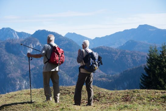 Almenrunde unter der Rauhen Nadel