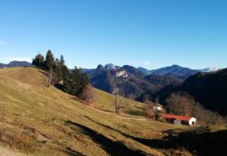 Almenrunde unter der Rauhen Nadel