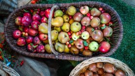 Erntedank-Toerwang-1001854