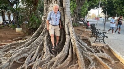 HF-9-2≈22-in Havanna-IMG_6850