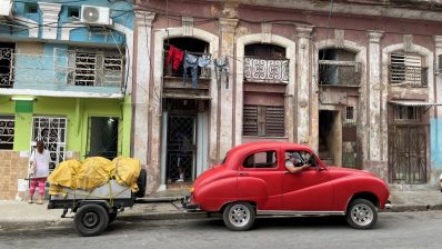 HF-9-2≈28-in Havanna-IMG_6938