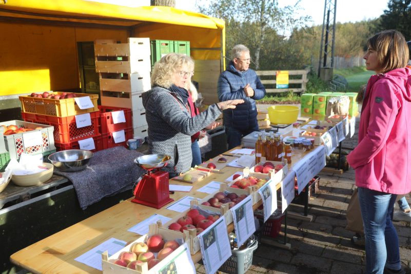 Kraut und Ruebenmarkt (1)