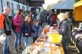 Kraut und Ruebenmarkt (2)