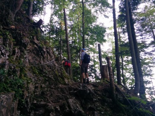 Almenrunde unter der Rauhen Nadel