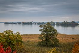 Schleppjagd-Herrenchiemsee-2022-1320752