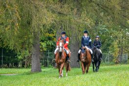 Schleppjagd-Herrenchiemsee-2022-1320833