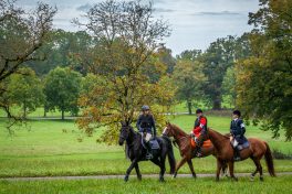 Schleppjagd-Herrenchiemsee-2022-1320850