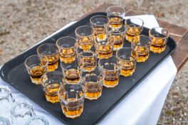 Schleppjagd-Herrenchiemsee-2022-1320867