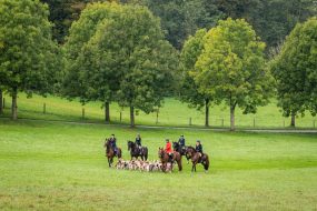 Schleppjagd-Herrenchiemsee-2022-1320929