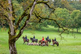 Schleppjagd-Herrenchiemsee-2022-1320939