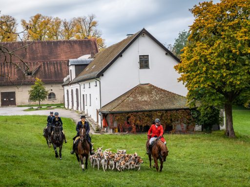 Schleppjagd-Herrenchiemsee-2022-1320950