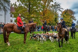 Schleppjagd-Herrenchiemsee-2022-1330099