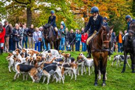 Schleppjagd-Herrenchiemsee-2022-1330323