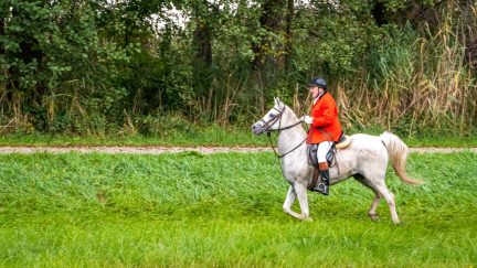 Schleppjagd-Herrenchiemsee-2022-1340109