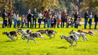 Schleppjagd-Herrenchiemsee-2022-1340445