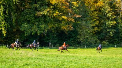 Schleppjagd-Herrenchiemsee-2022-1340549