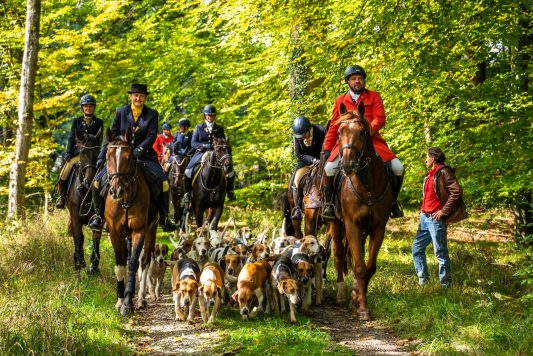 Schleppjagd-Herrenchiemsee-2022-1340653