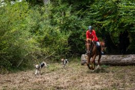 Schleppjagd-Herrenchiemsee-2022-1340711