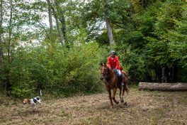 Schleppjagd-Herrenchiemsee-2022-1340713