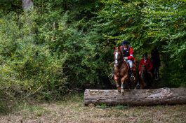 Schleppjagd-Herrenchiemsee-2022-1340723