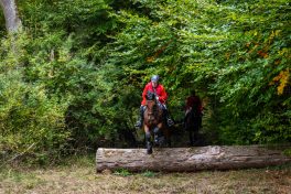 Schleppjagd-Herrenchiemsee-2022-1340731