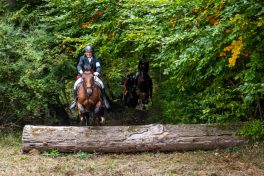 Schleppjagd-Herrenchiemsee-2022-1340738