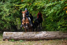 Schleppjagd-Herrenchiemsee-2022-1340739